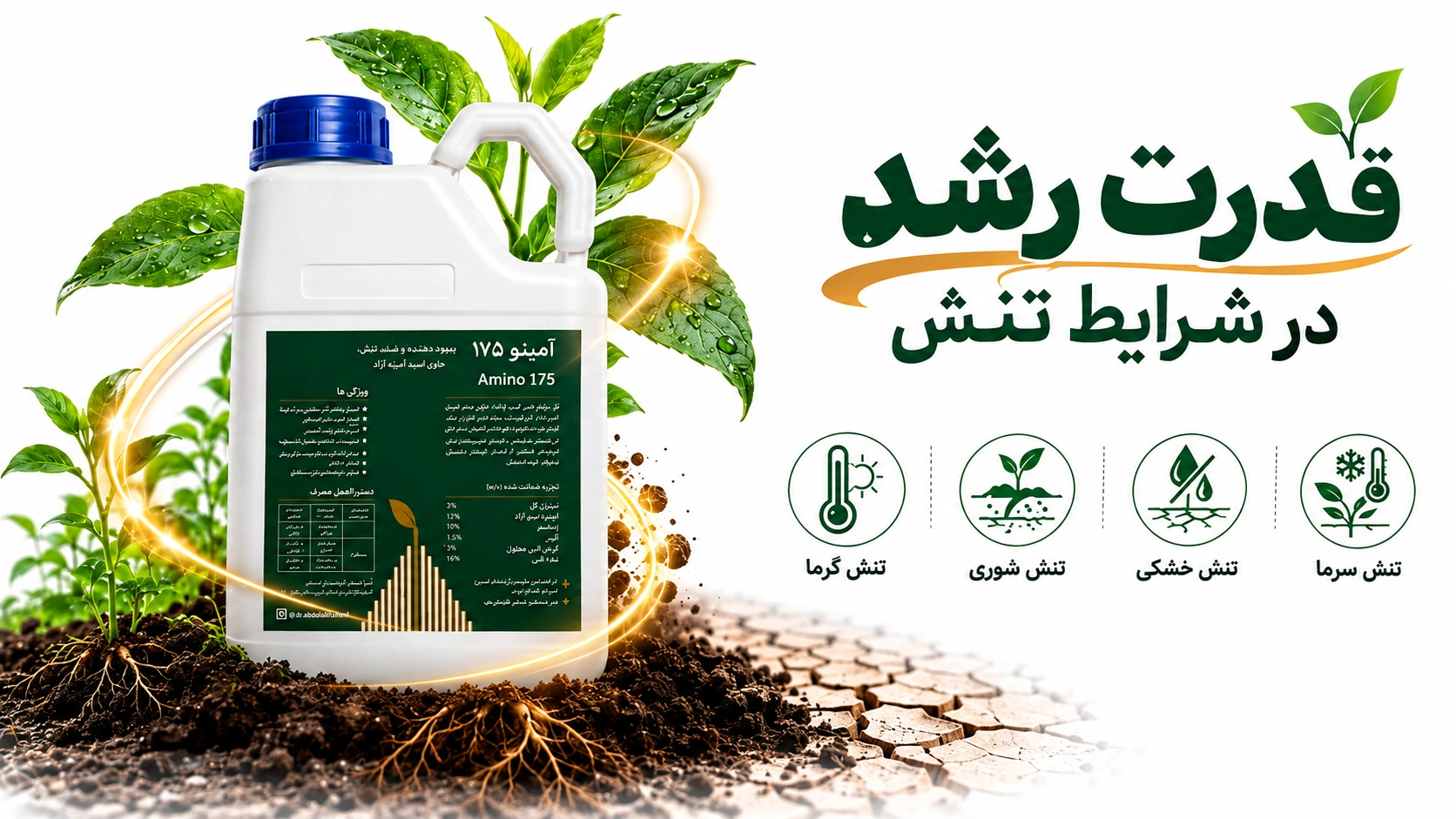 آمینو 175
